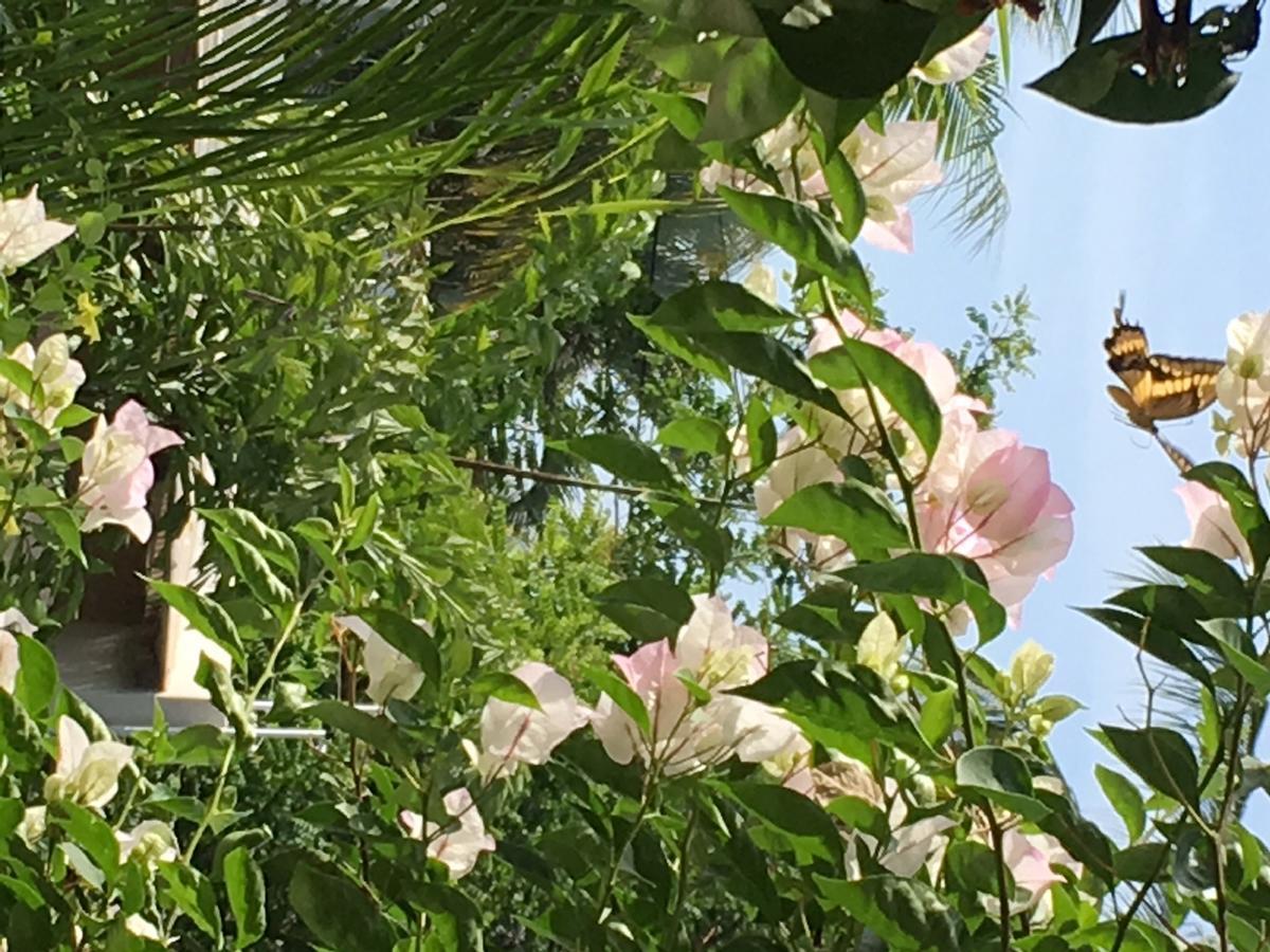 Villa Maria Bed And Breakfast Puerto Escondido  Bagian luar foto