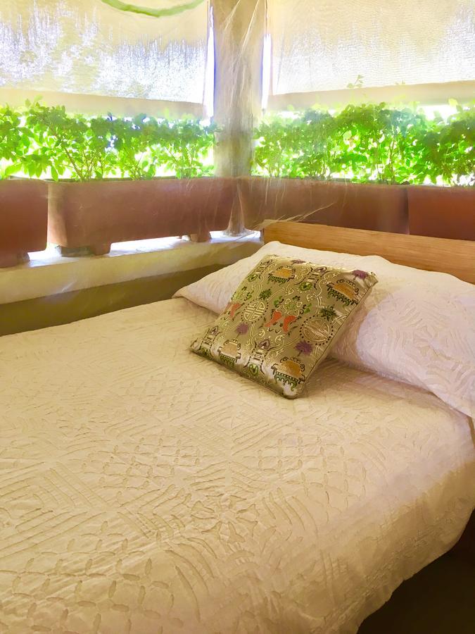Villa Maria Bed And Breakfast Puerto Escondido  Bagian luar foto